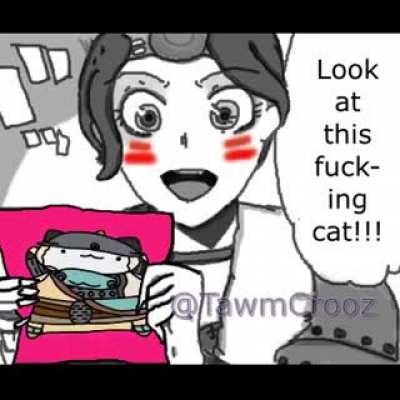 Look at this cat!