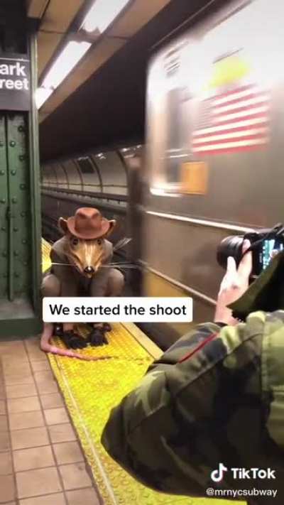 NYC ,,rat