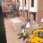 that's a pretty good David Attenborough impression