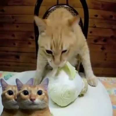 jgskgsitsoyfp