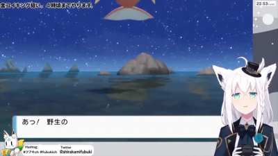 Fubuki Fishing Fun