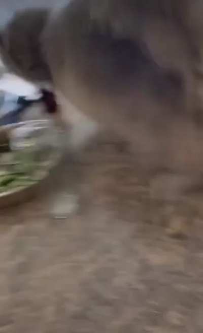 hm aqui parece ser confortável
