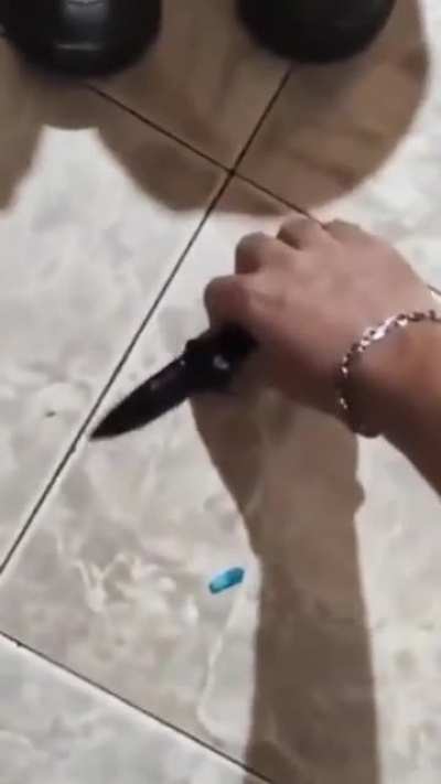 eu💊nvr
