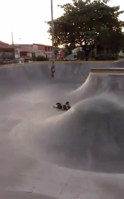 Full send