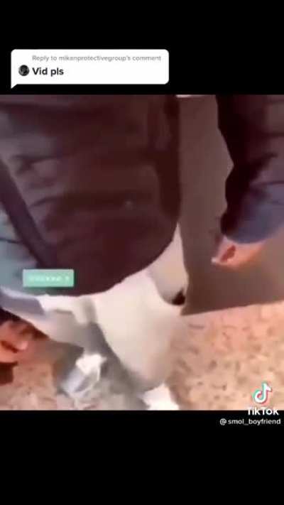 Yes