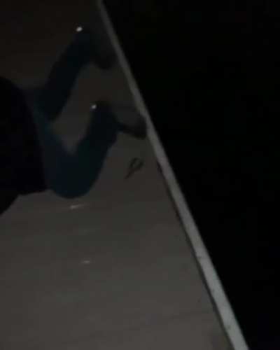 The Steve Irwin impersonation