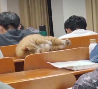 Student Life