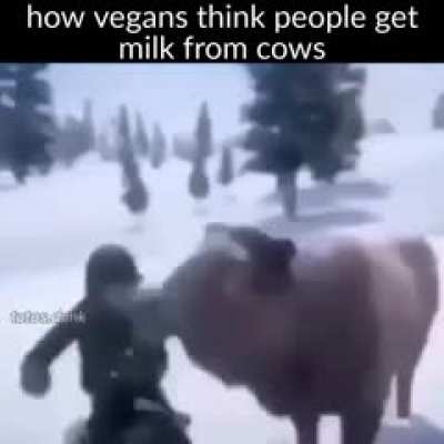 shitposting - Video #3764