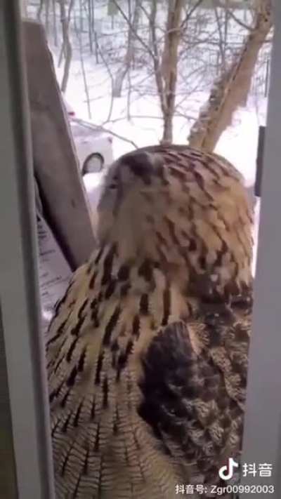Cat Noped right out of there.