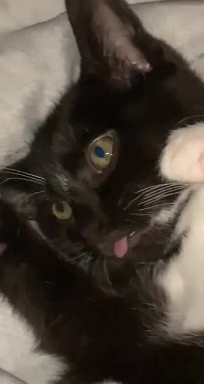 Joey being weird again