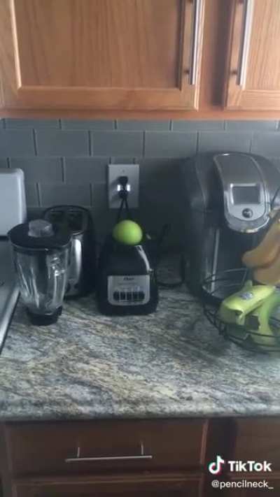 Apple in a blender stand, what could go wrong?