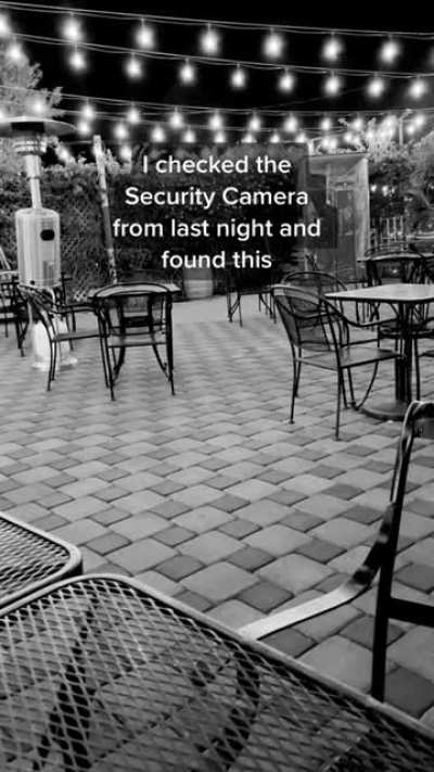 Zooming Around After Hours A Duck Caught on Store's CCTV