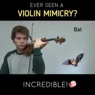Incredible violin mimicry!