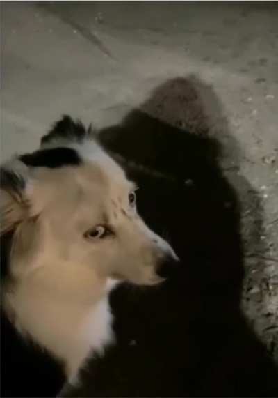 Why is you mouth making that noise