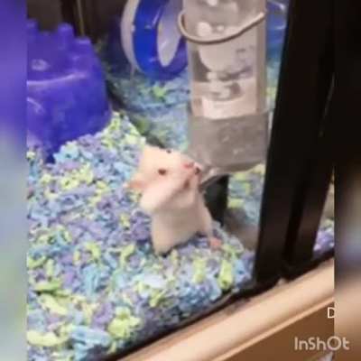 You should see where he stores his nuts!