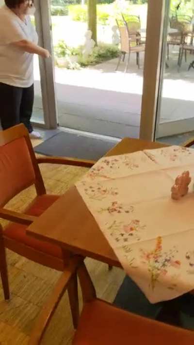 some ducklings invaded Cafe today