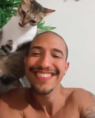 aaaA-