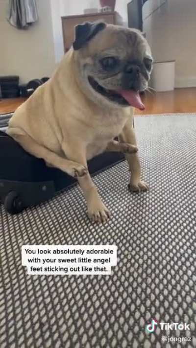 Sir.