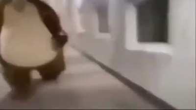 Pov:descubriste la razón porque al oso aún soporta a la cagapalos de masha. Y el no quiere que allá testigos