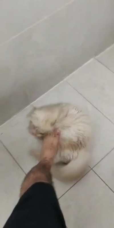 Floof yoga