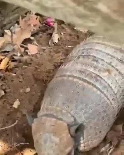 Legit scared me!