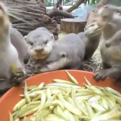 luttle guys eating