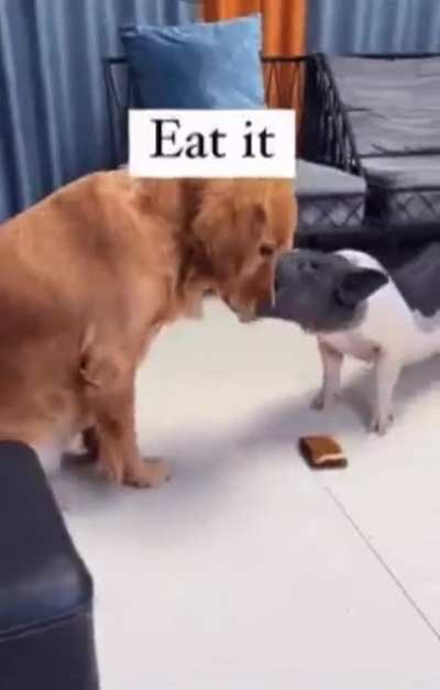 'I' love cakes