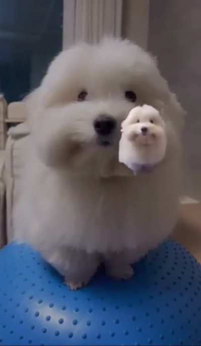 ahdshfdbvcbcvjngfjkr6tjrykuk;.kl;';