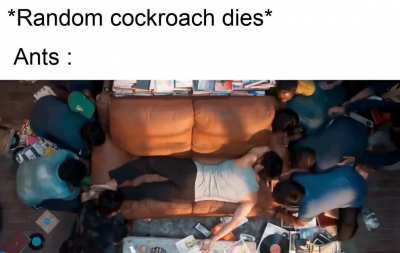 Is it just me or??
