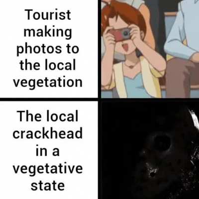 japanese tourists are really dumb