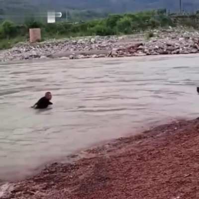 Here boss, you dropped your hat!