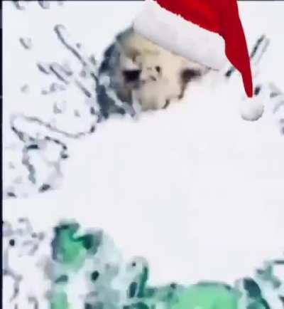 Ho