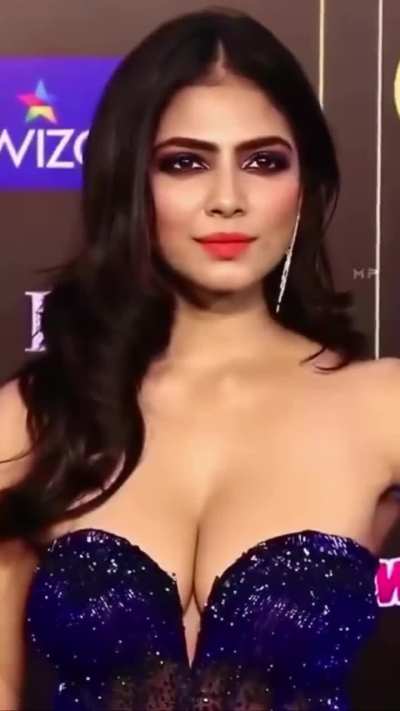 Malavika Mohanan Or Meenakshi Chaudhary