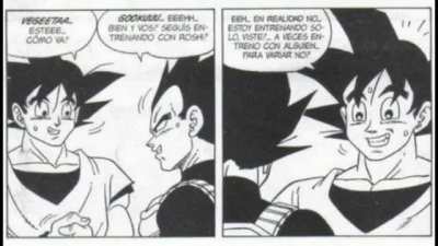Goku ,sos un campeón