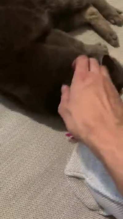 Gimme that tumm-OW
