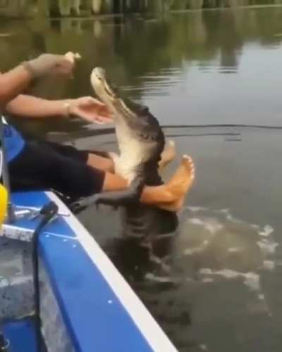 Nah he won’t bite