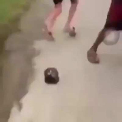 Minha panela