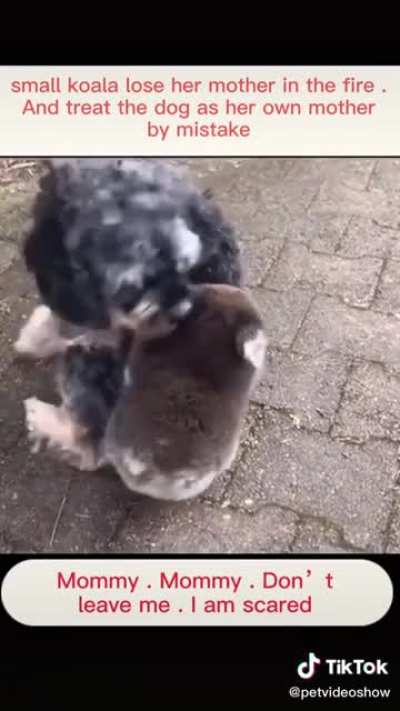 He’s not heavy, he’s my brother