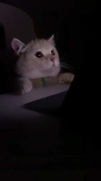 When you watched a movie secretly at night and you were caught by mom
