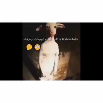 👽👽👹👽👹