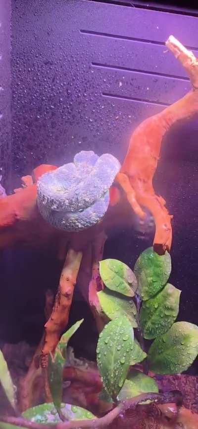 🥰
