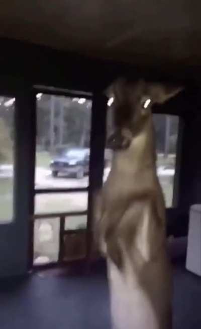 Bambi goes into 𝐊𝐢𝐥𝐥𝐞𝐫𝐌𝐨𝐝𝐞 fighting his Mother's Shooter.