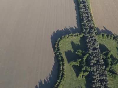 Un agricultor argentino plantó más de 7,000 árboles para formar una guitarra gigante de 1 km en honor a su difunta esposa