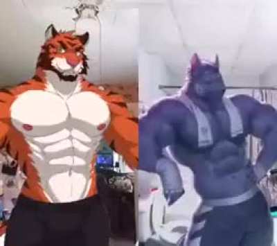 Losercity duel