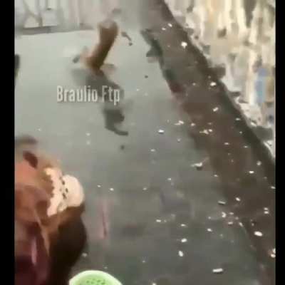 puta mamarracha xD