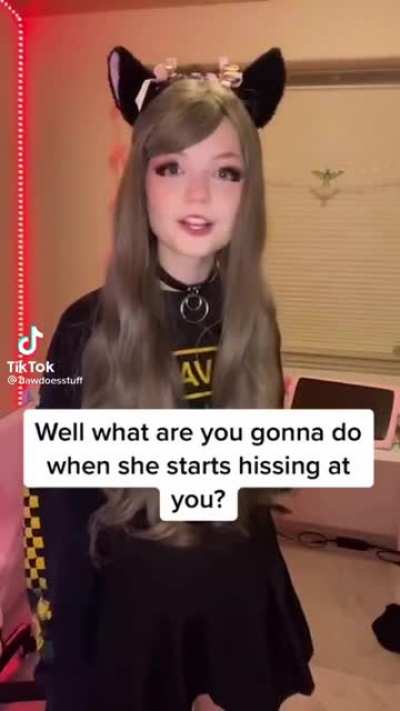Catgirl rule