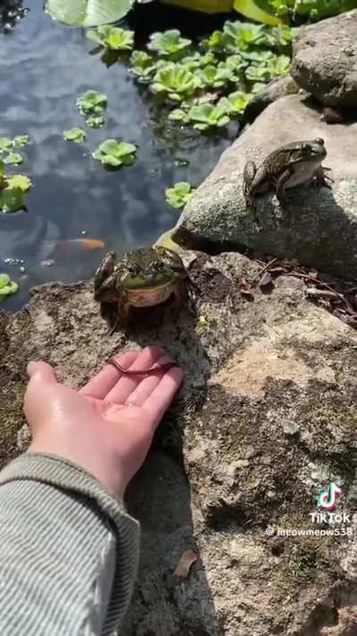 you wunk 