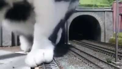 Look at this new futuristic train being tested out