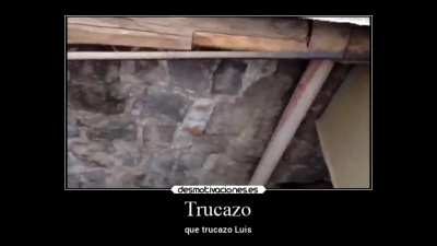 trucazo luis 😎😎😎😎😎😎😎😎