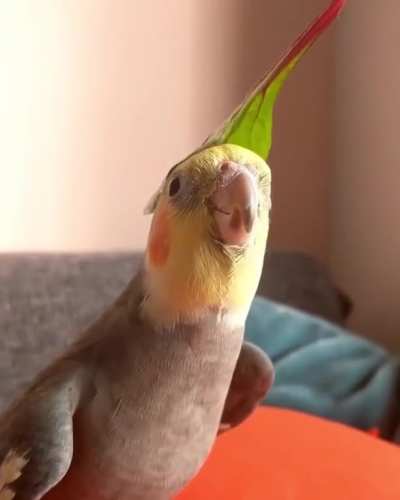 Whistling in style